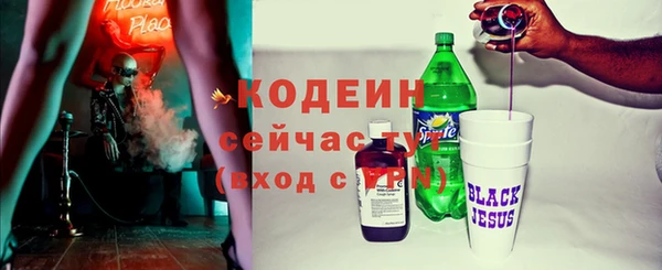крисы Баксан