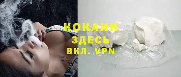 крисы Баксан