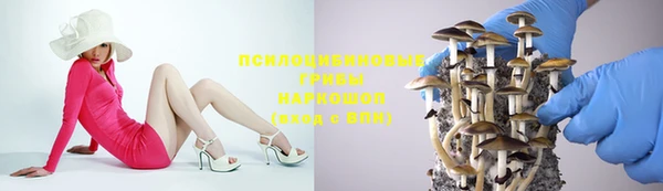 2c-b Балахна