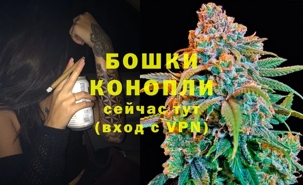 2c-b Балахна