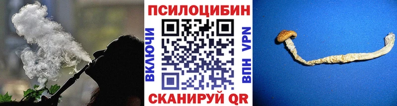 Псилоцибиновые грибы мицелий Жуковка